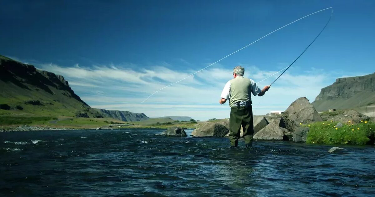 Rainbow trout - Fishing in Wales