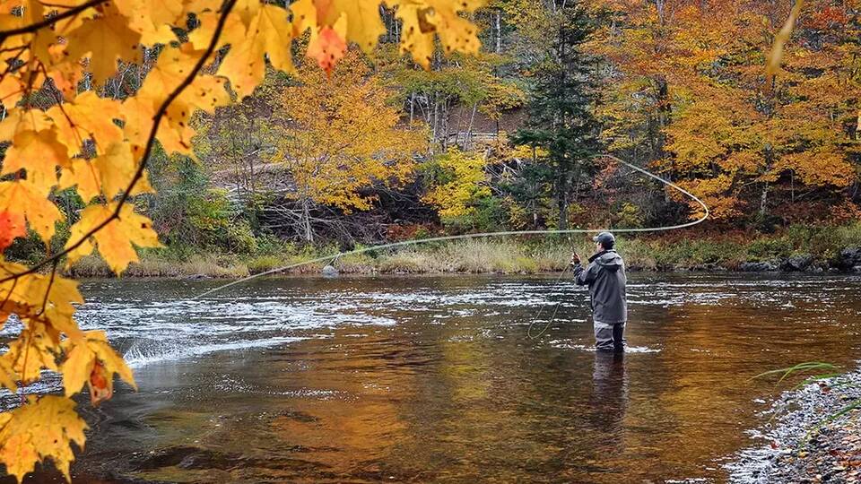 Trout fishing in North Wales