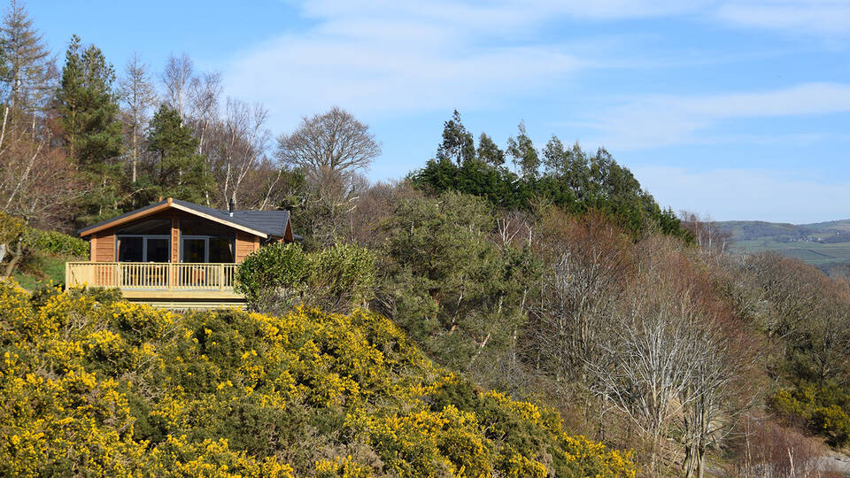 Lissett alaska snowdonia views