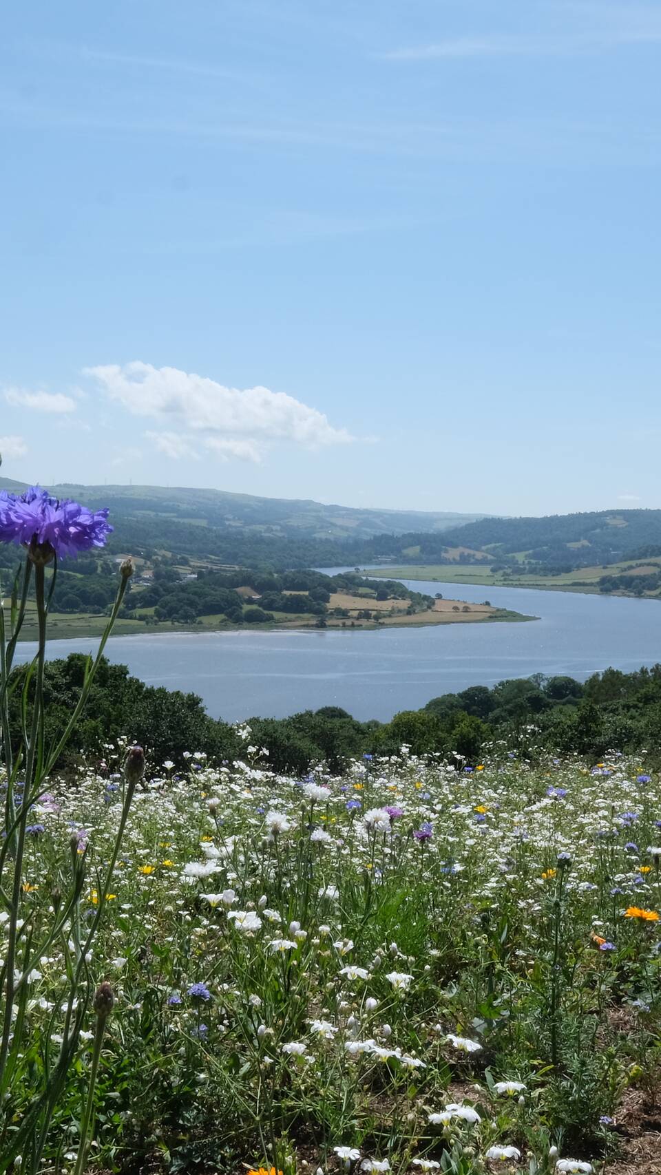 Conwy Lodge Park Area North Wales