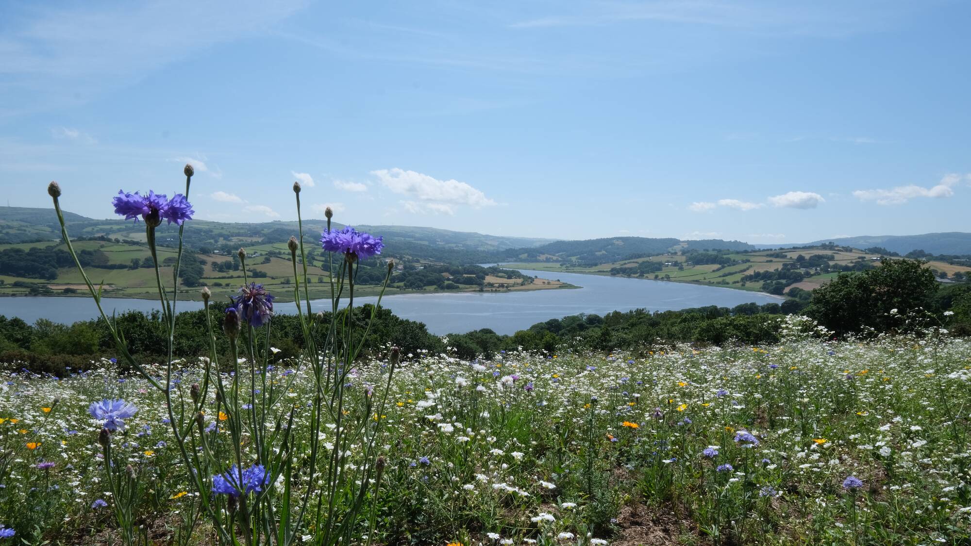 Conwy Lodge Park Area North Wales