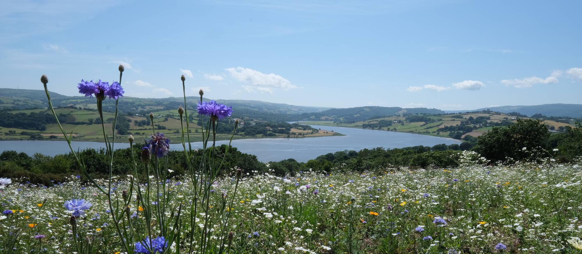 Conwy Lodge Park Area North Wales