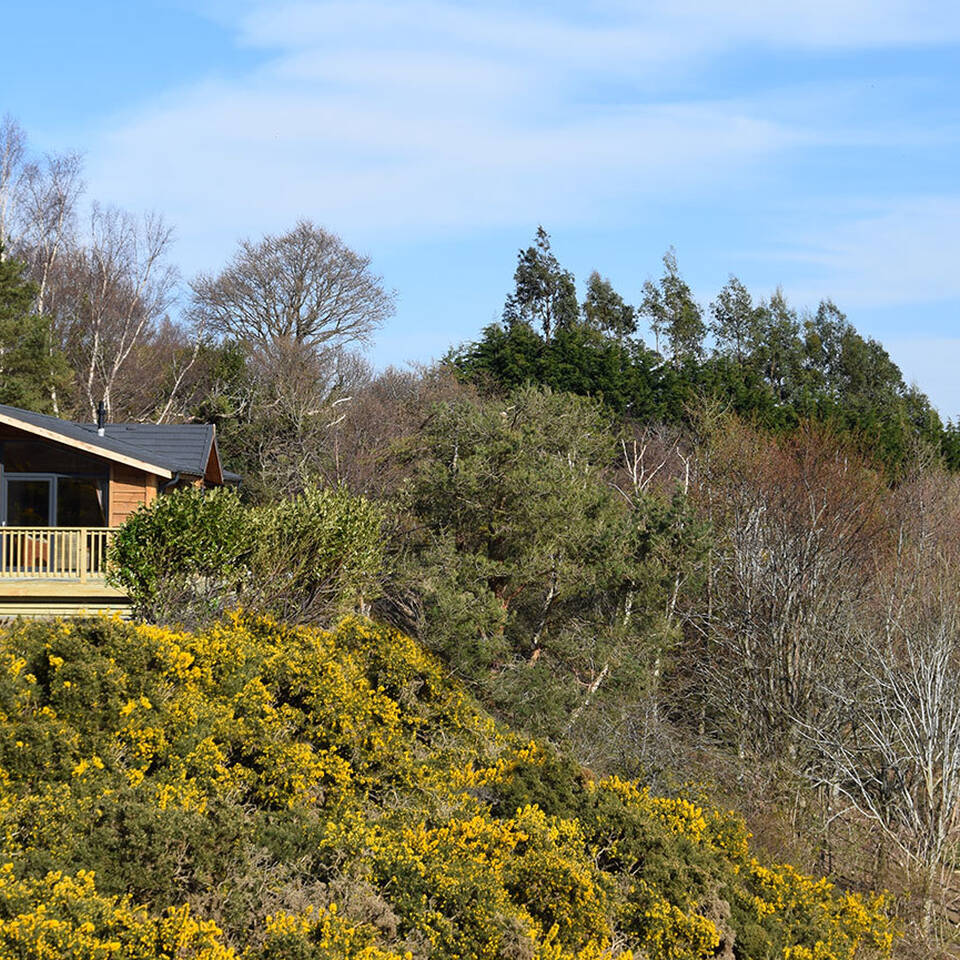 Lissett Alaska Lodge