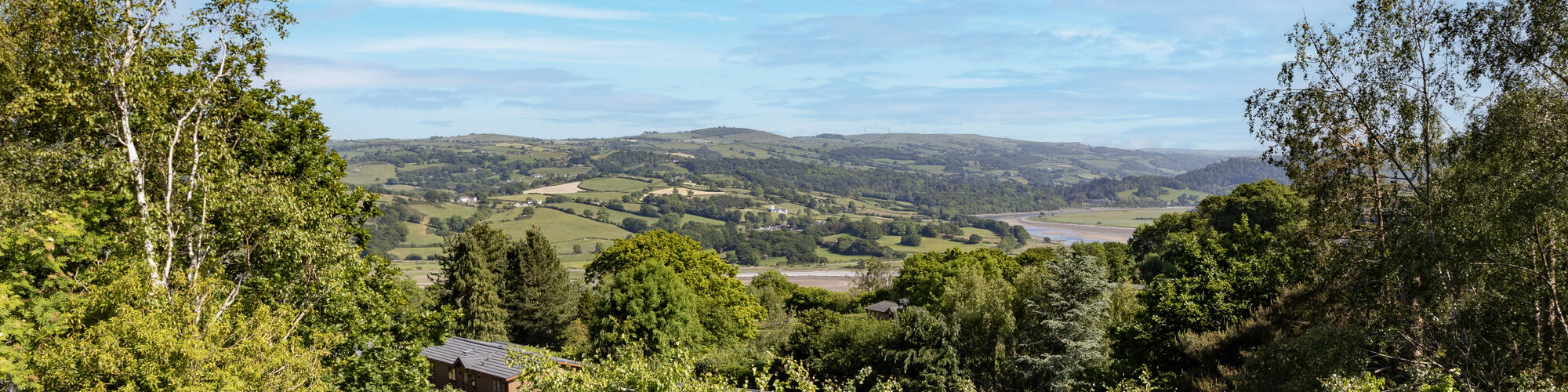 Looking through trees towards River Conwy