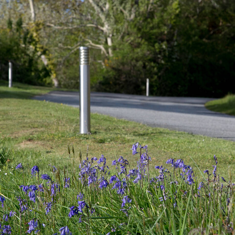 The Park Bluebells and Bollards