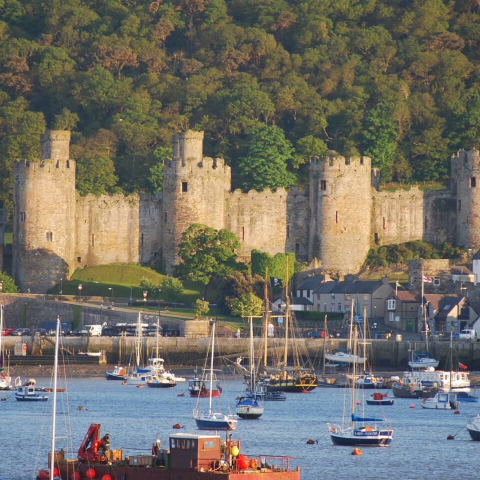 Local Area Conwy Castle across thw water 07 02 15
