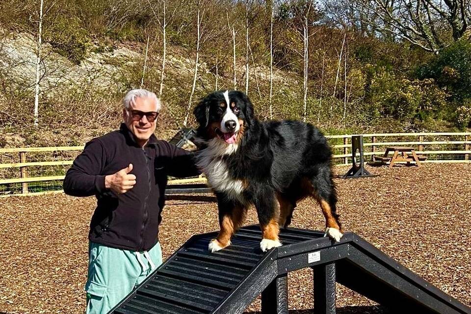 Stephenson Dog on Agility Course
