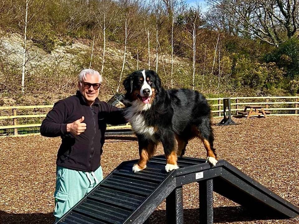 Stephenson Dog on Agility Course